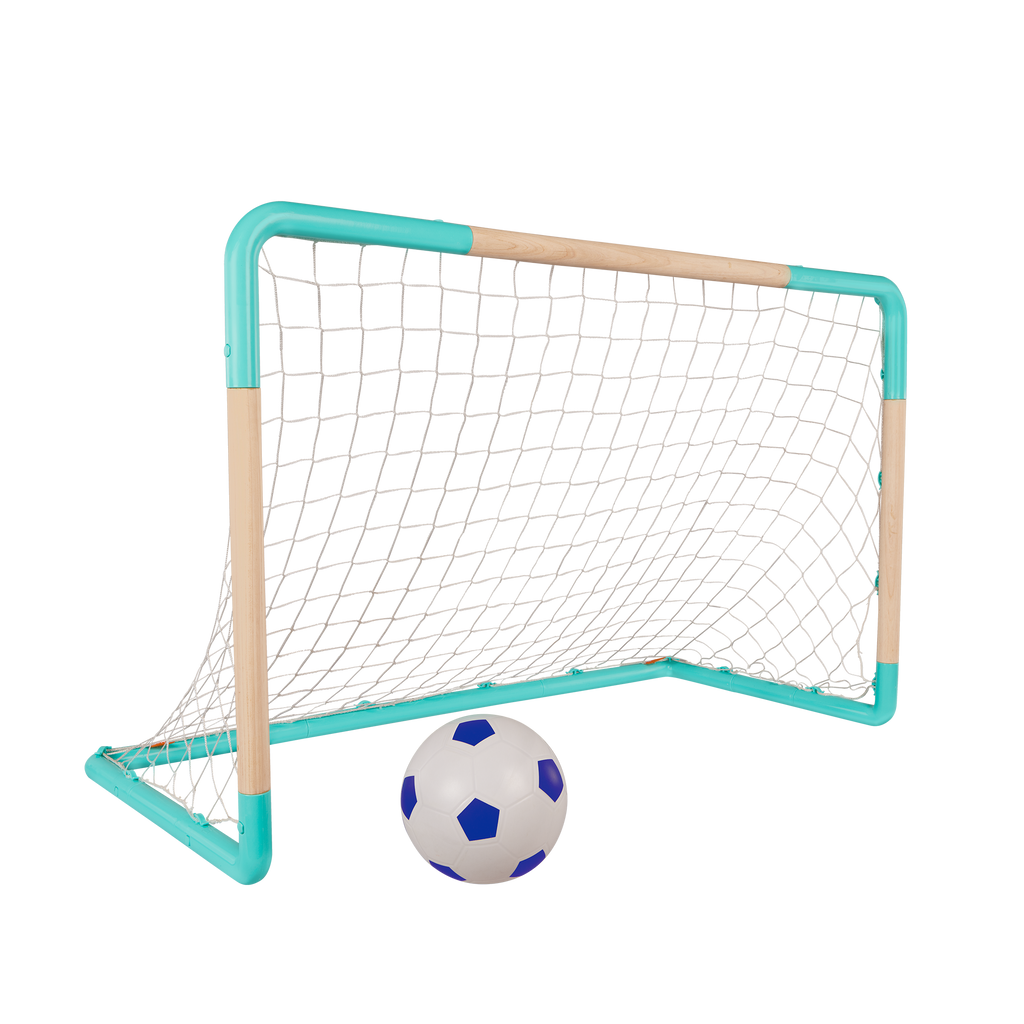 Soccer Net & Ball