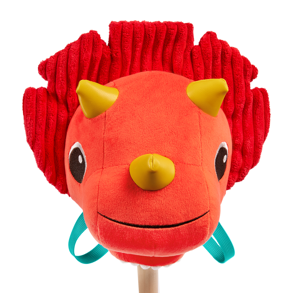 Tommy Triceratops Rider